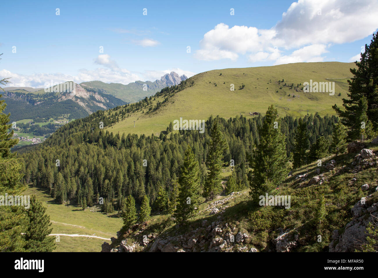 Vue du sentier 526A sous les falaises de l'Langkofel vues à la recherche autour de Piz Sella au-dessus de Selva Val Gardena Dolomites Italie Banque D'Images