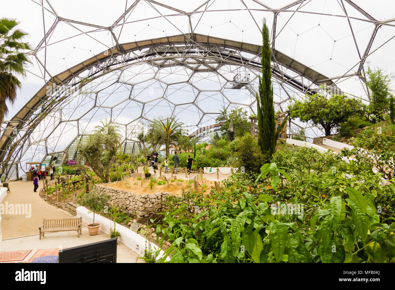 L'Eden Project biome méditerranéen une attraction touristique populaire construit dans une ancienne carrière avec des jardins tropicaux situé dans les dômes géant a ouvert ses portes en 2001 Banque D'Images