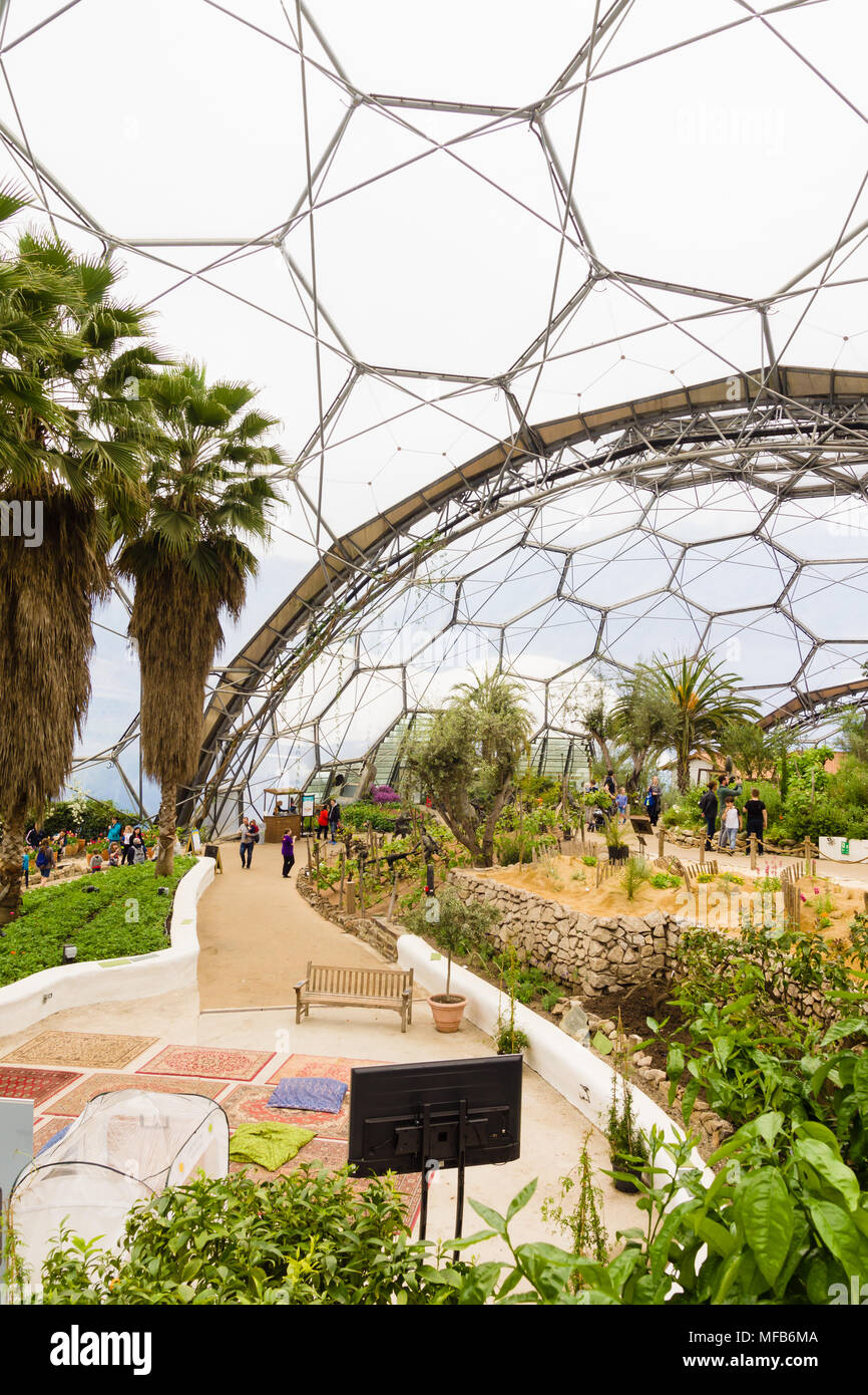 L'Eden Project biome méditerranéen une attraction touristique populaire construit dans une ancienne carrière avec des jardins tropicaux situé dans les dômes géant a ouvert ses portes en 2001 Banque D'Images