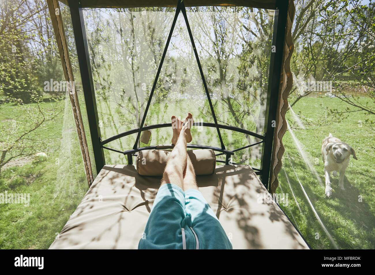 Printemps journée ensoleillée sur le jardin. Les jambes du jeune homme se reposant sur la balançoire à son chien. Banque D'Images