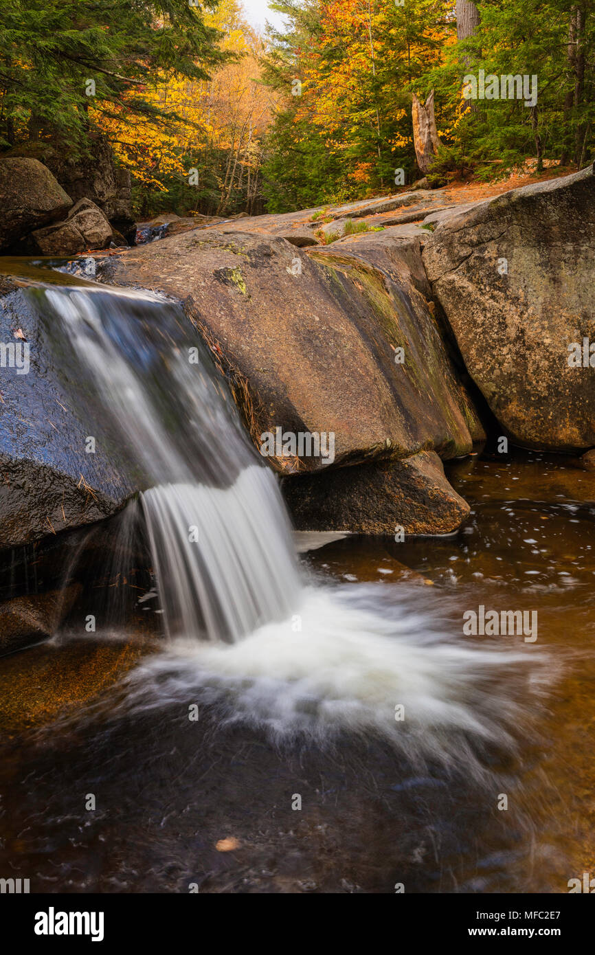 Petite cascade sur la rivière Bear, Grafton Notch State Park, Maine Banque D'Images