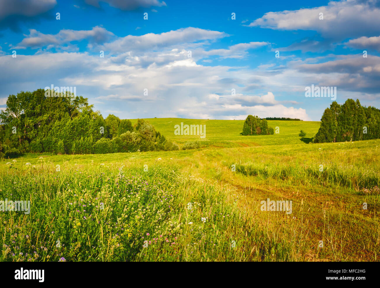 Vue panoramique vue sur une prairie au coucher du soleil. Paysage rural. Banque D'Images