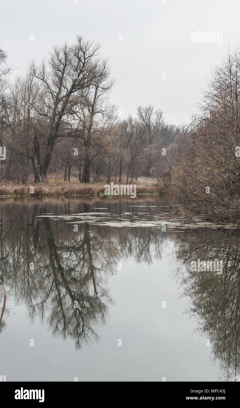 Triste Paysage D Automne Avec Ses Arbres Et Arbustes Sombre Refletant Dans Le Lac Photo Stock Alamy