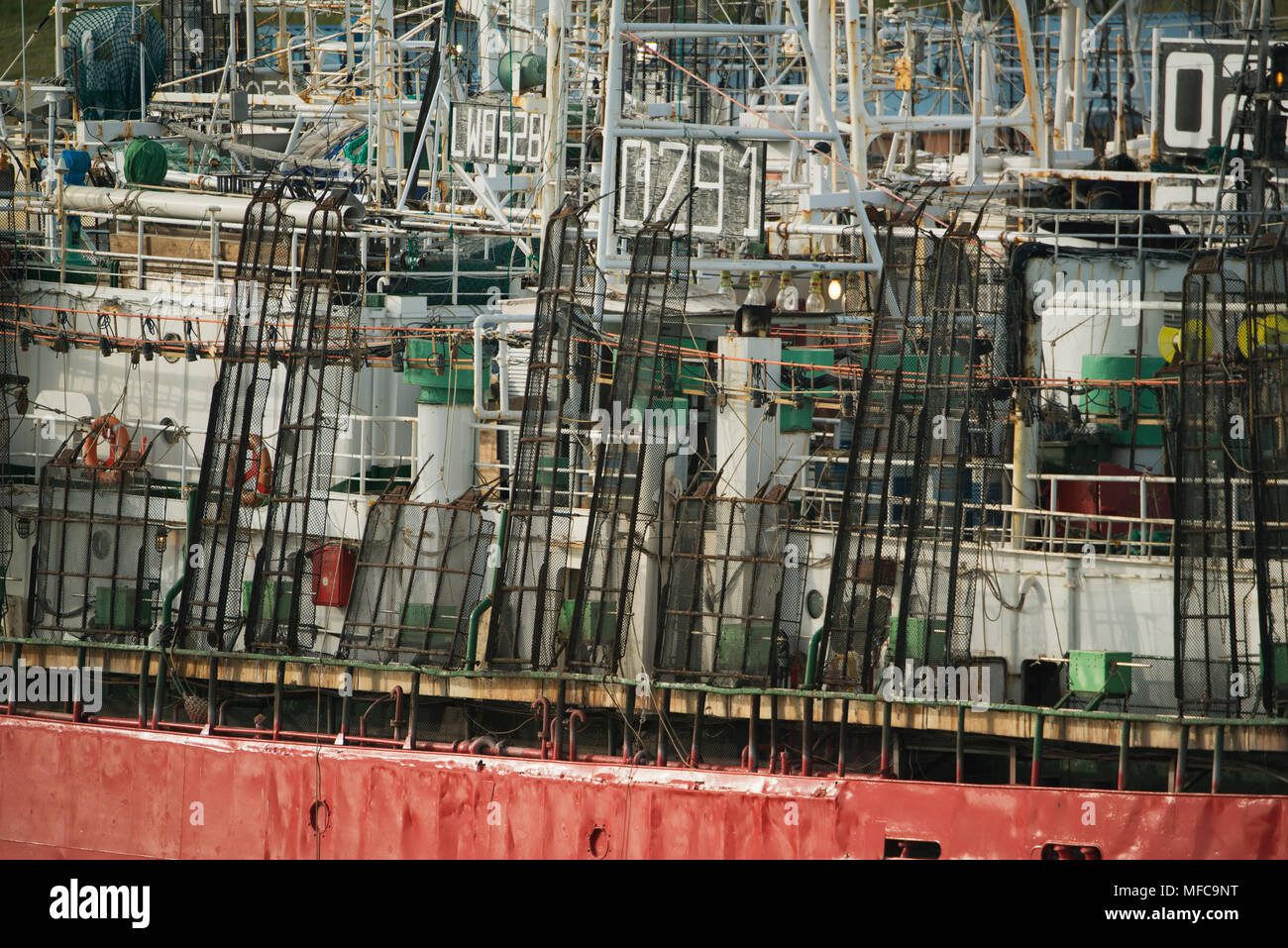 Squid navire en port, Puerto Deseado, Province de Santa Cruz, Argentine Banque D'Images