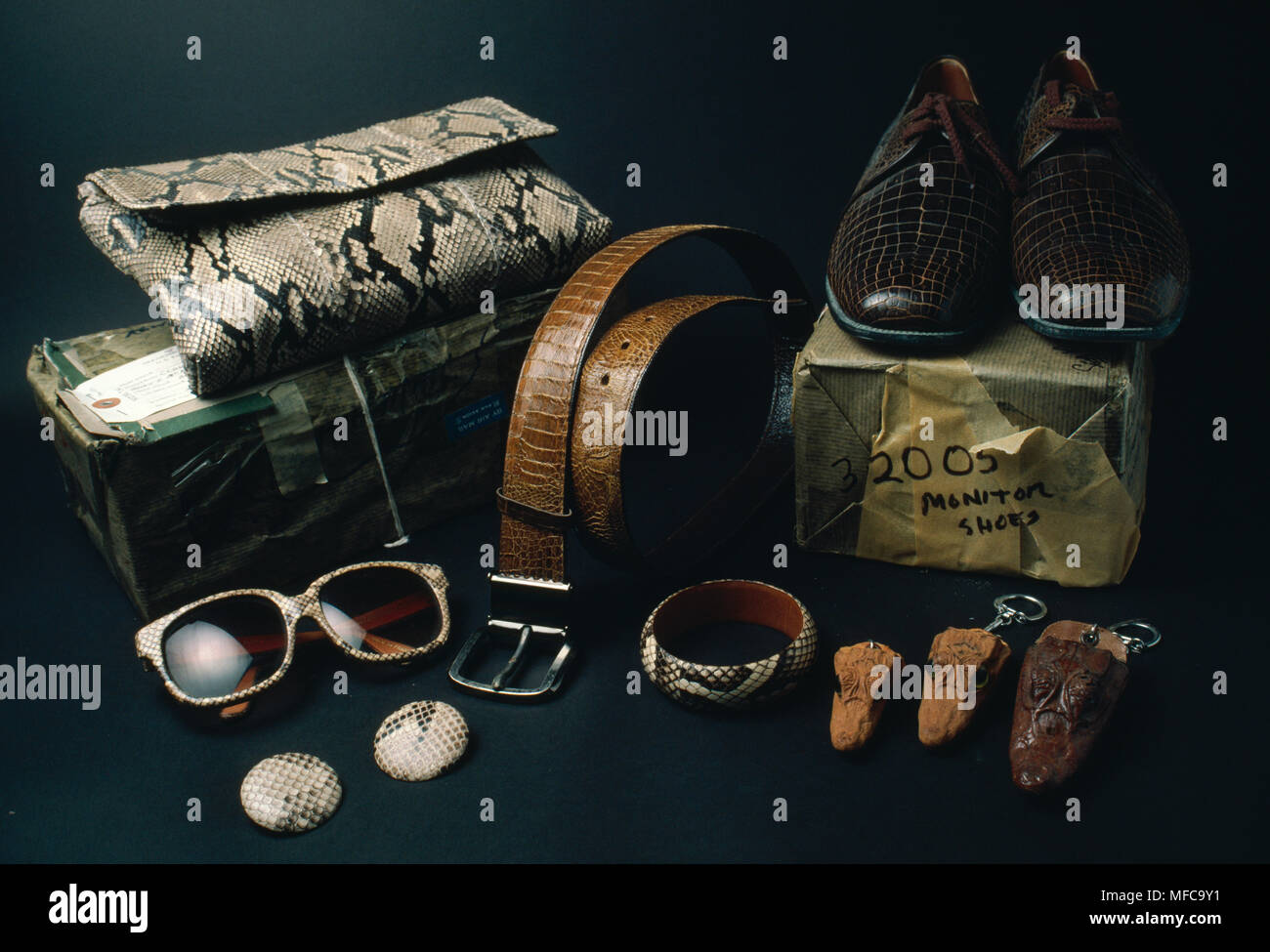 Produits reptiles importés illégalement d'Asie du sud-est Banque D'Images