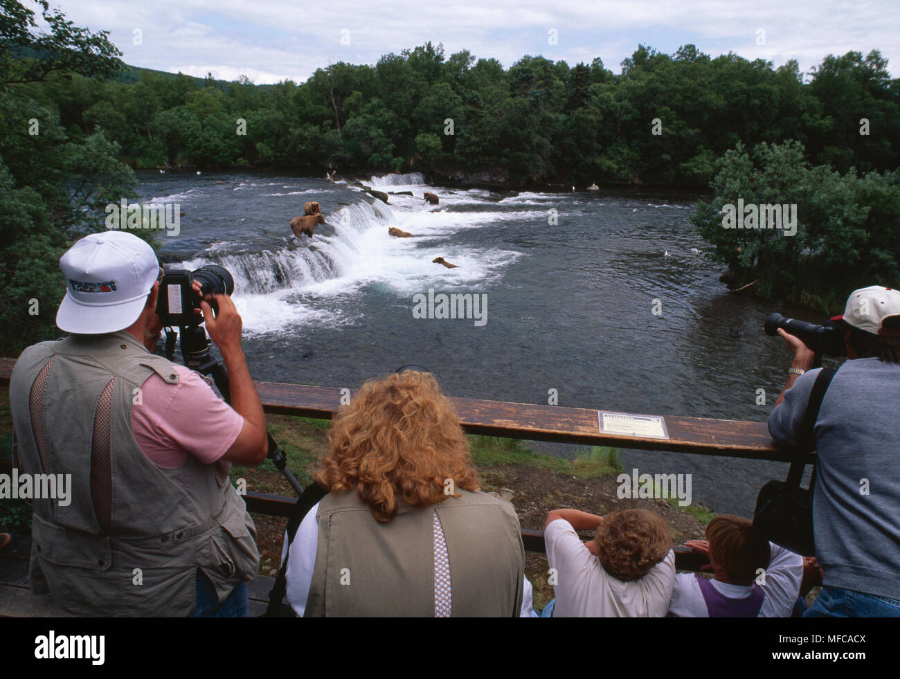 Les touristes à regarder l'ours grizzli (Ursus arctos horribilis) la pêche du saumon à Brooks River, Katmai NP, Alaska, USA Banque D'Images