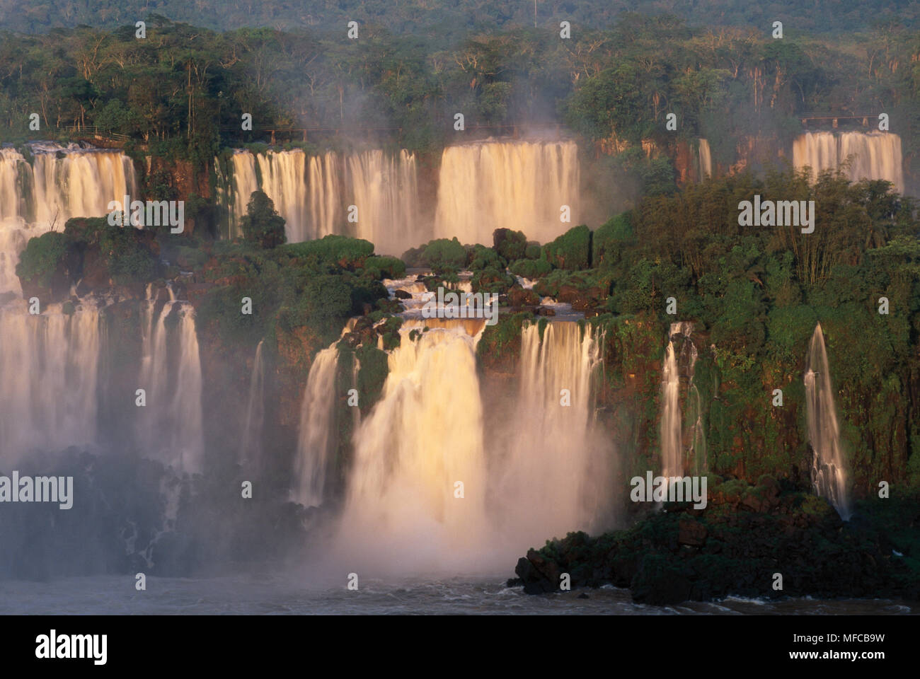 Site du patrimoine mondial de l'IGUAZU Vue du côté brésilien, Parc National de l'Iguazu, Parana, Brésil Banque D'Images