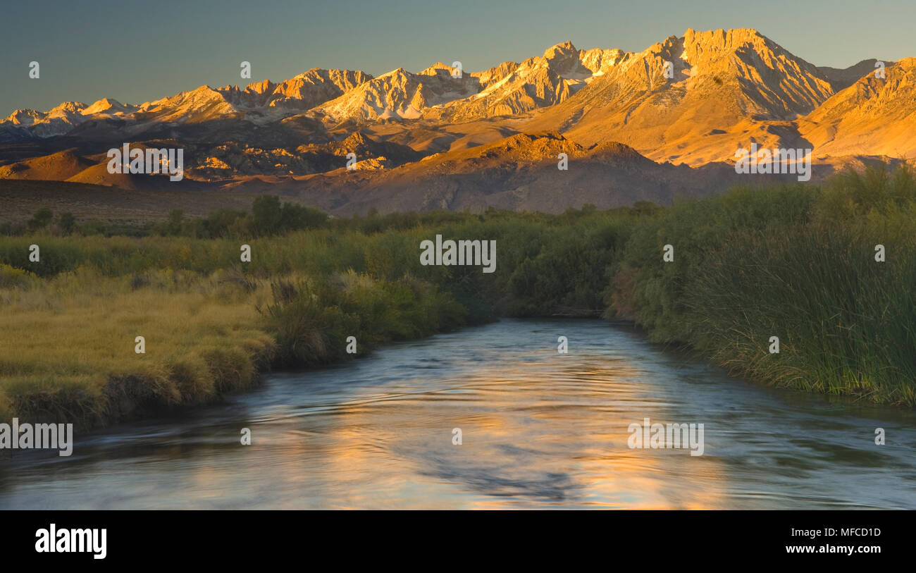 EASTERN SIERRAS et Owens River, du Owens Valley près de Bishop, en Californie Banque D'Images