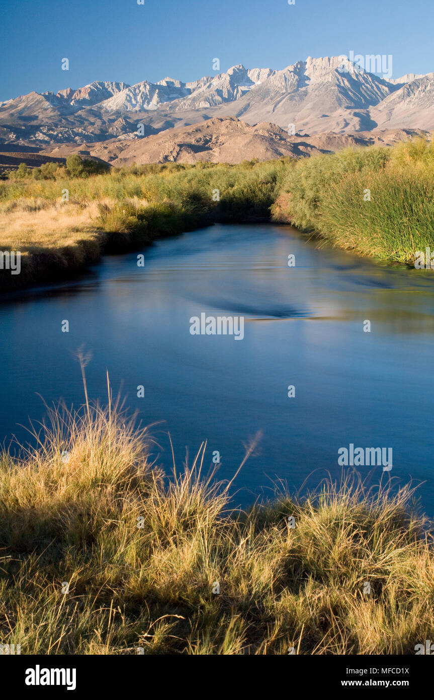 EASTERN SIERRAS et Owens River, du Owens Valley près de Bishop, en Californie Banque D'Images