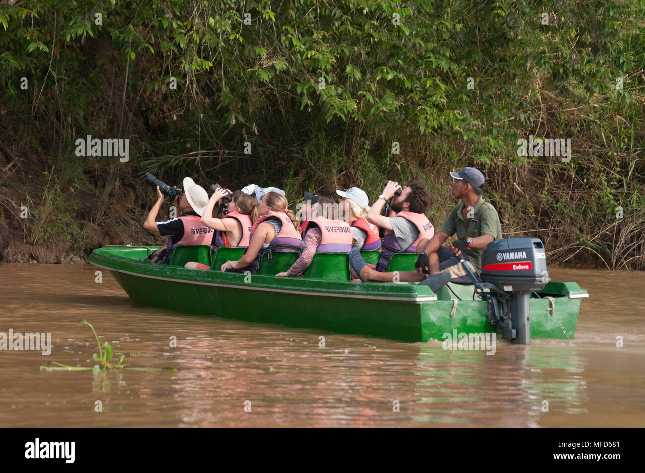 Excursion d'observation de la faune sur la rivière Kinabatangan, Sabah, Bornéo Malaisien Banque D'Images