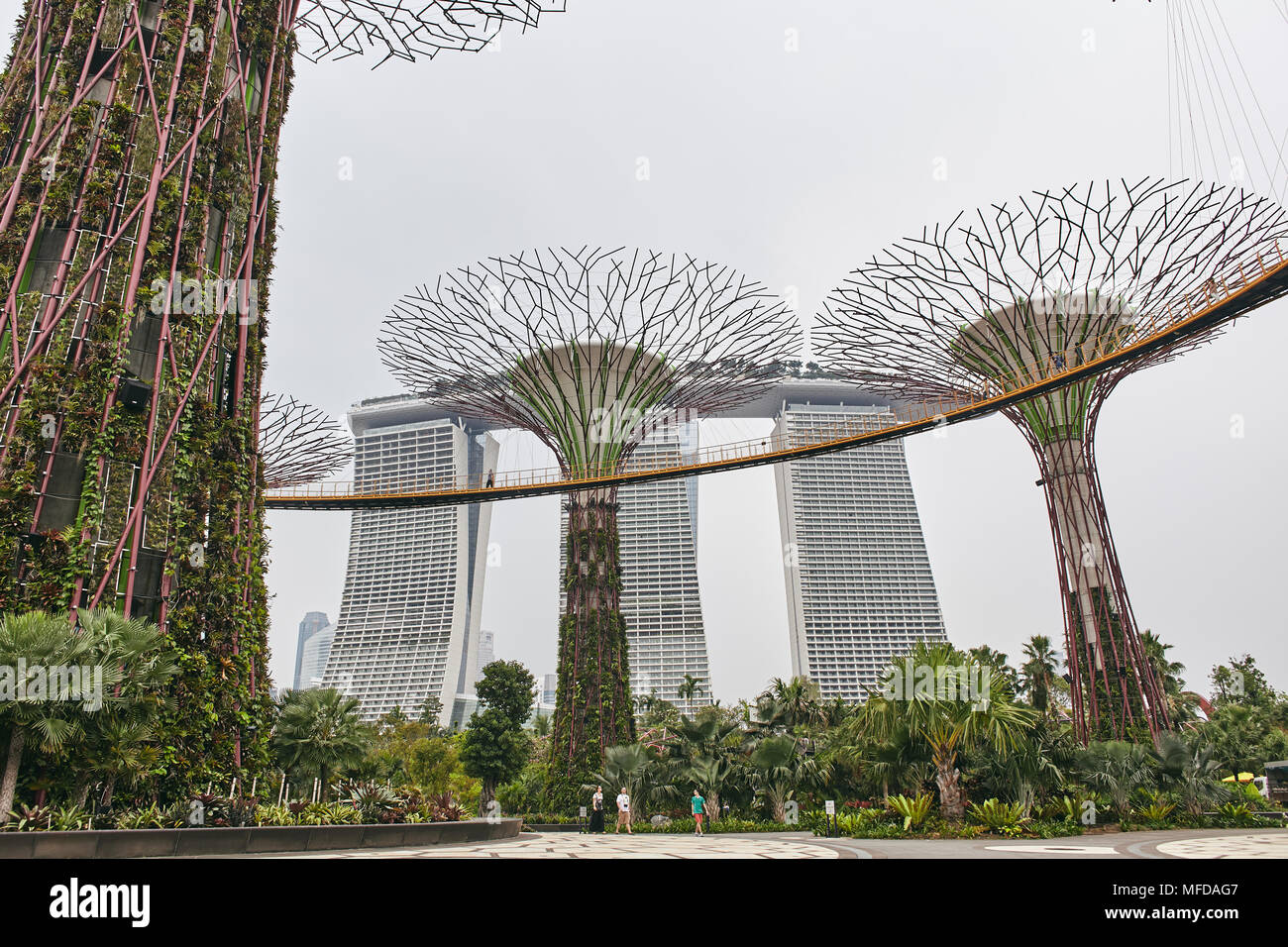 La vue rapprochée de l'angle faible des arbres dans des jardins par Super la baie avec certaines personnes appréciant dans le parc, le Marina Bay Sands en arrière-plan Banque D'Images