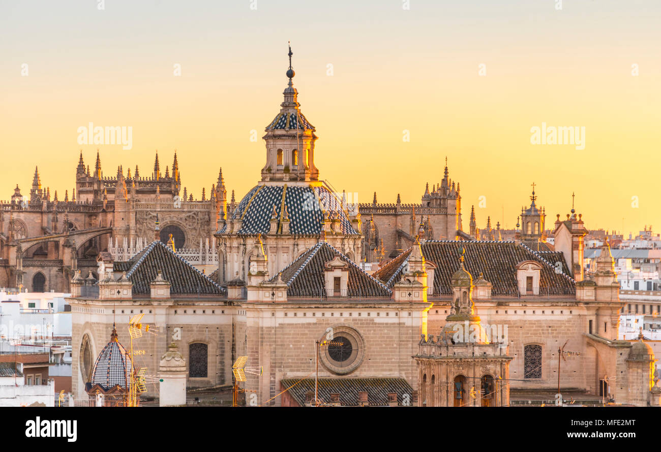 Avis de Iglesia del Salvador, coucher de soleil, Séville, Andalousie,  Espagne Photo Stock - Alamy