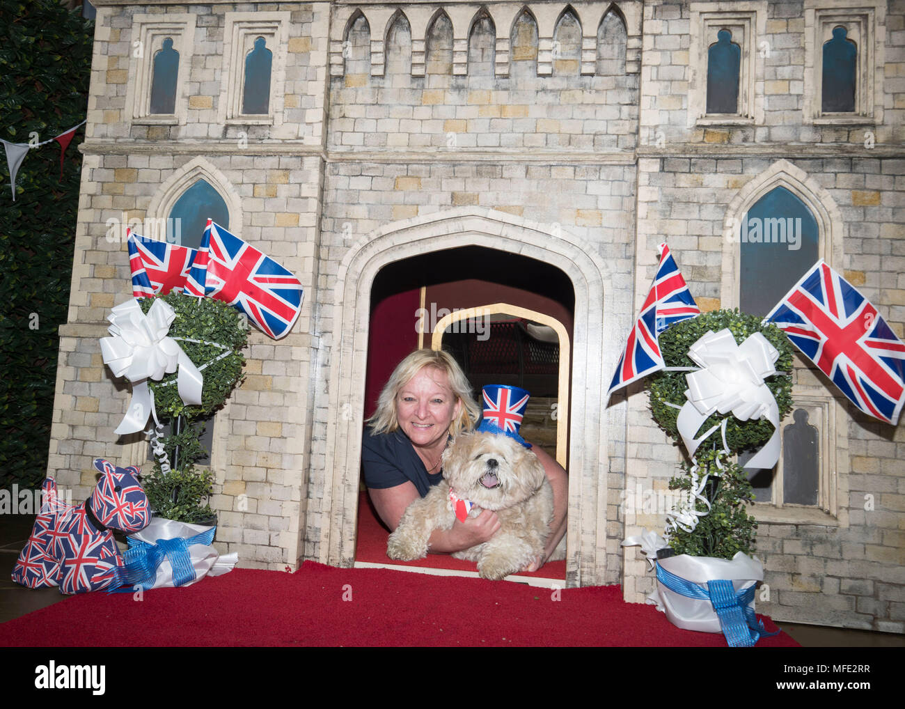 Gagnant de loterie Susan Crossland avec son chien Archie le Lhasa Apso et son nouveau chenil, une réplique du château de Windsor, où elle a installé à son domicile à Mirfield, West Yorkshire. Banque D'Images