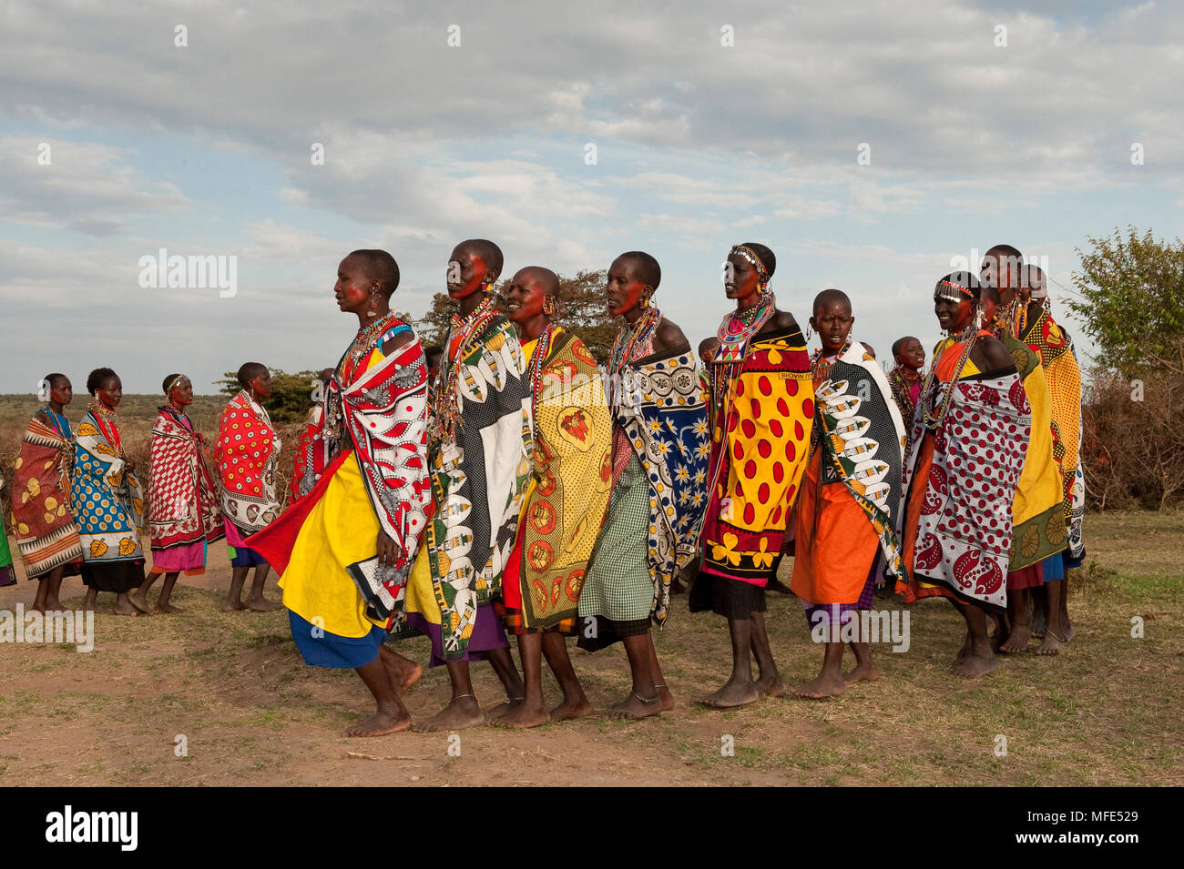 Les femmes Masai faisant une danse de bienvenue traditionnelle ; le Masai Mara, Kenya. Banque D'Images