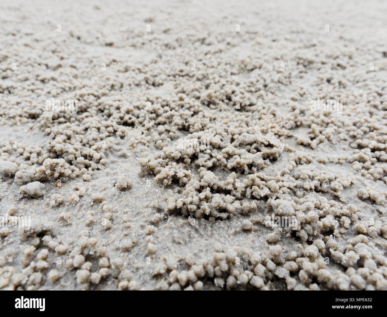 Terrier ou trou avec boules de sédiments ou des grains de sable fait par où la nourriture a été digéré par ghost ou crabe de sable naturel afficher sous forme de résumé et la texture. Banque D'Images