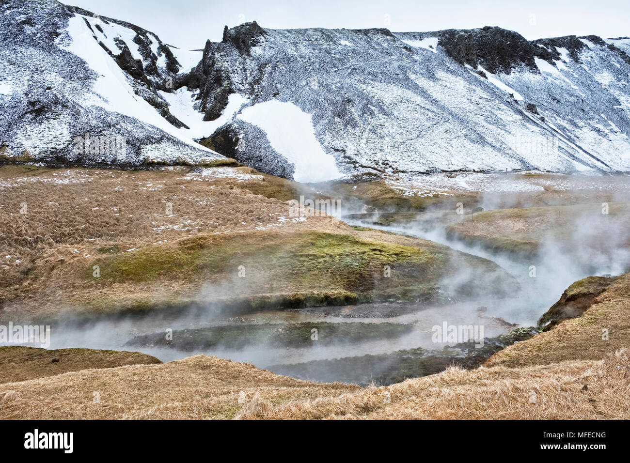Près de Hveragerði, Islande. La vapeur s'élevant de la rivière chaude géothermique de Reykjadalur au Banque D'Images
