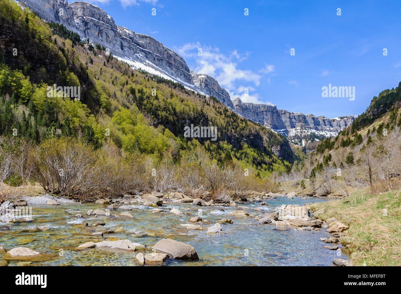 Rivière qui coule dans la vallée d'Ordesa dans les Pyrénées aragonaises, Espagne Banque D'Images