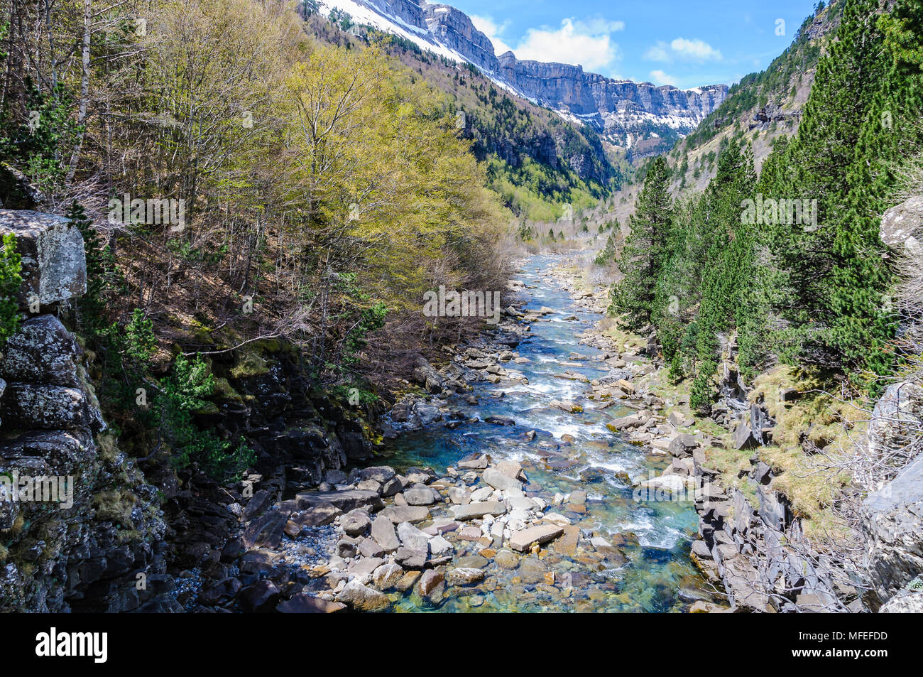Rivière qui coule dans la vallée d'Ordesa dans les Pyrénées aragonaises, Espagne Banque D'Images