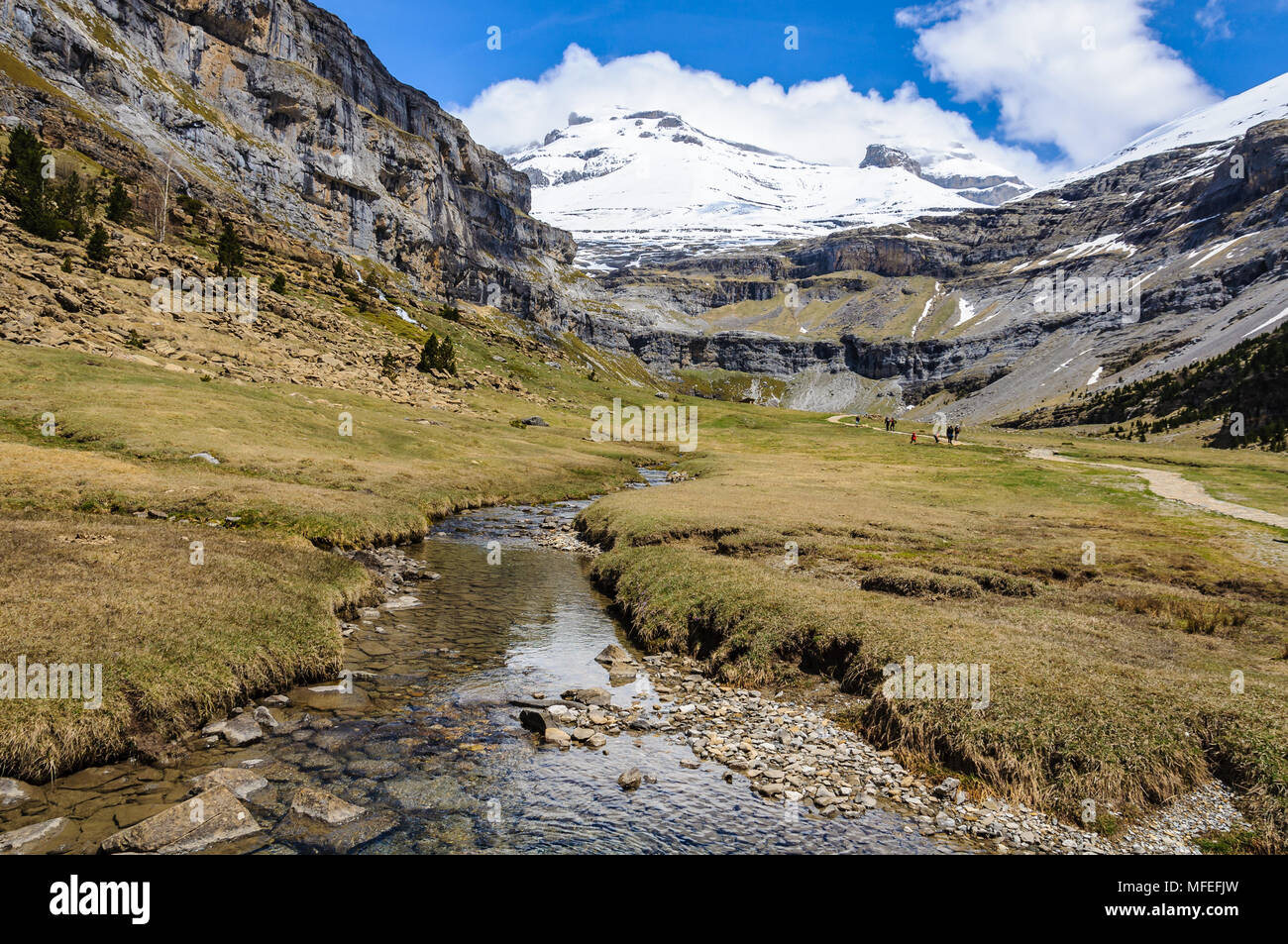 Grande Prairie dans la vallée d'Ordesa dans les Pyrénées aragonaises, Espagne Banque D'Images