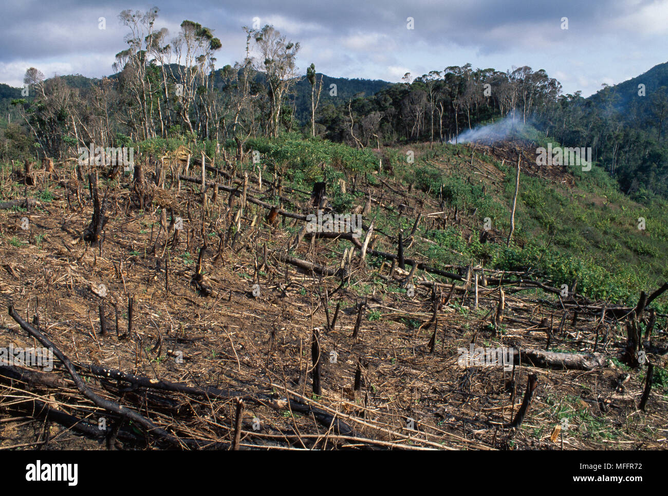 Détruit les forêts tropicales est libre avant de slash & burn par les agriculteurs de subsistance Madagascar centrale Banque D'Images