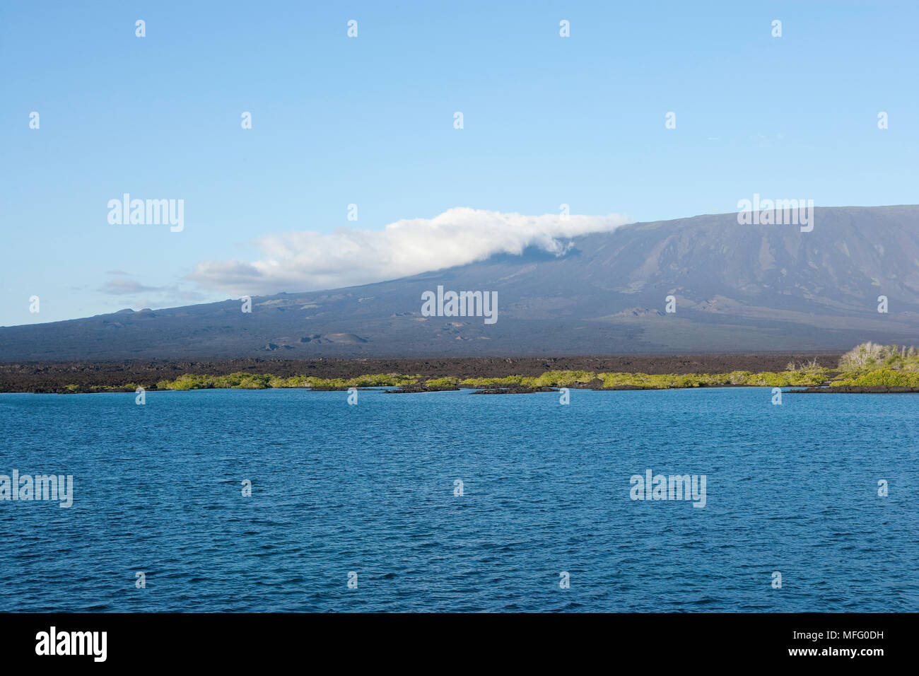 Volcan Cumbre, Fernandina Island, îles Galapagos, l'UNESCO Site du patrimoine mondial naturel, l'Équateur, de l'Océan Pacifique Banque D'Images