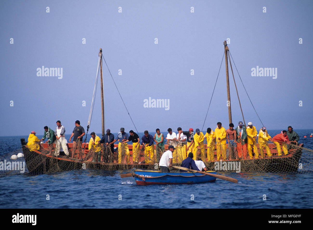 Les pêcheurs (tonnaroti) soulever le net de la 'camera della morte" à la surface à l'intérieur du nord, Thunnus thynnus, vulnérables (UICN Banque D'Images