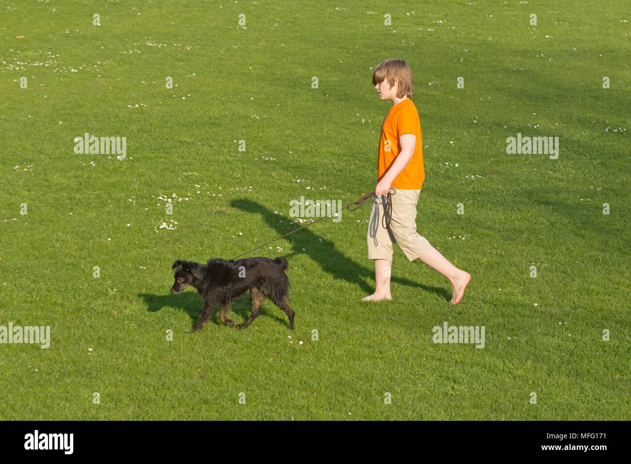 Boy walking with dog sur pelouse Banque D'Images