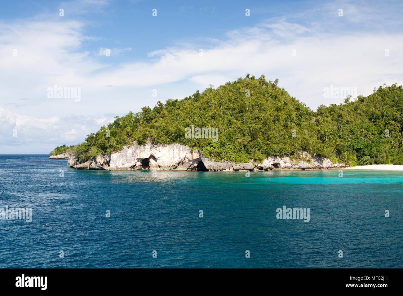 Côte recouverte de palmiers, Halmahera, Moluques, Indonésie Mer, Océan Pacifique Banque D'Images