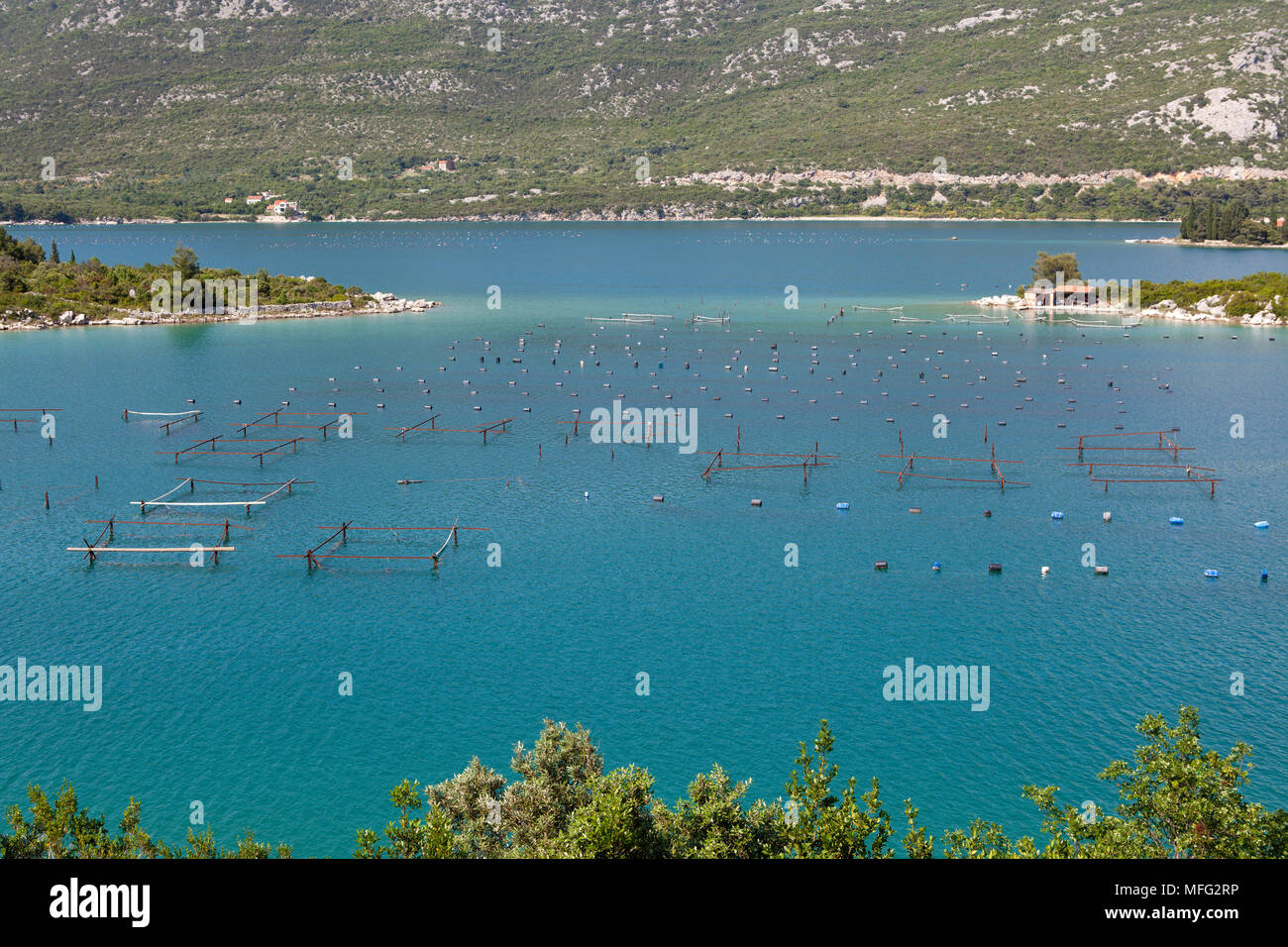Les champs d'élevage de moules et d'huîtres dans la mer, Dubrovnik, Croatie, Mer Adriatique, Mer Méditerranée Banque D'Images