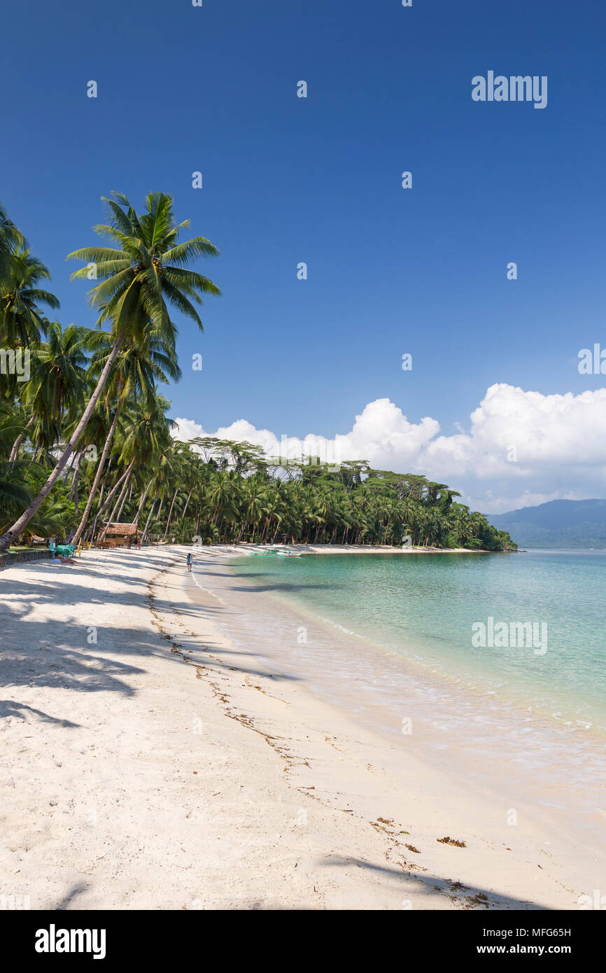 Plage de sable blanc, près de Port Barton, l'île de Palawan, Philippines Banque D'Images