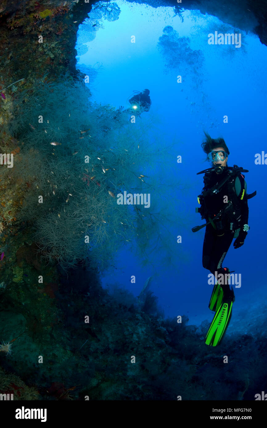 Plongée sous marine dans une grotte et corail noir, Antipathes sp. , Lieu de plongée Santuary, Sayulita, Bohol, Central Visayas, Philippines, l'océan Pacifique Dat Banque D'Images