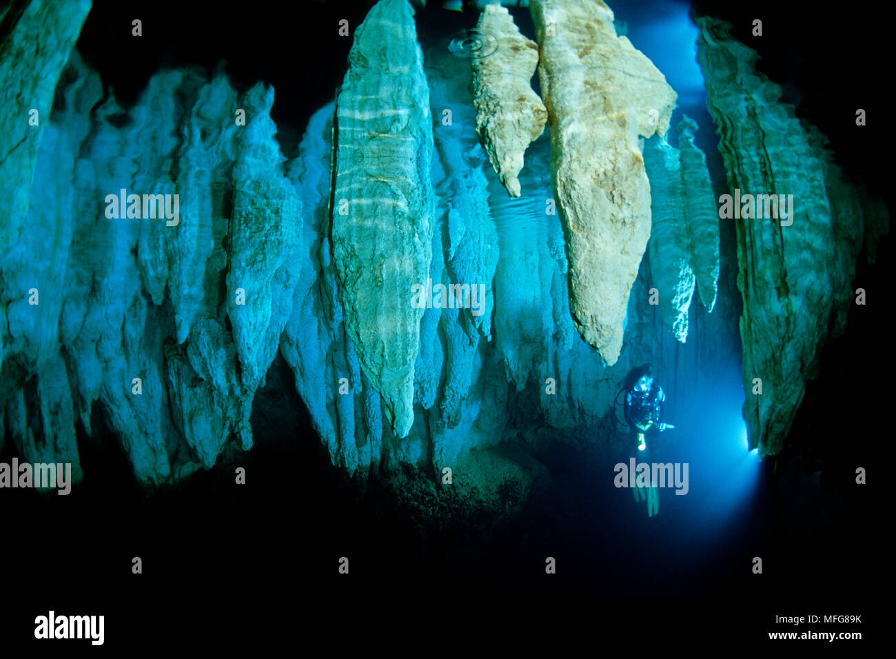 La plongée autonome à l'intérieur de chandelier Cave, Palau (Belau), Micronésie, l'océan Pacifique Date : 23.07.08 ref : 117155 ZB777  0025 CRÉDIT OBLIGATOIRE : Oceans-Image/ Banque D'Images