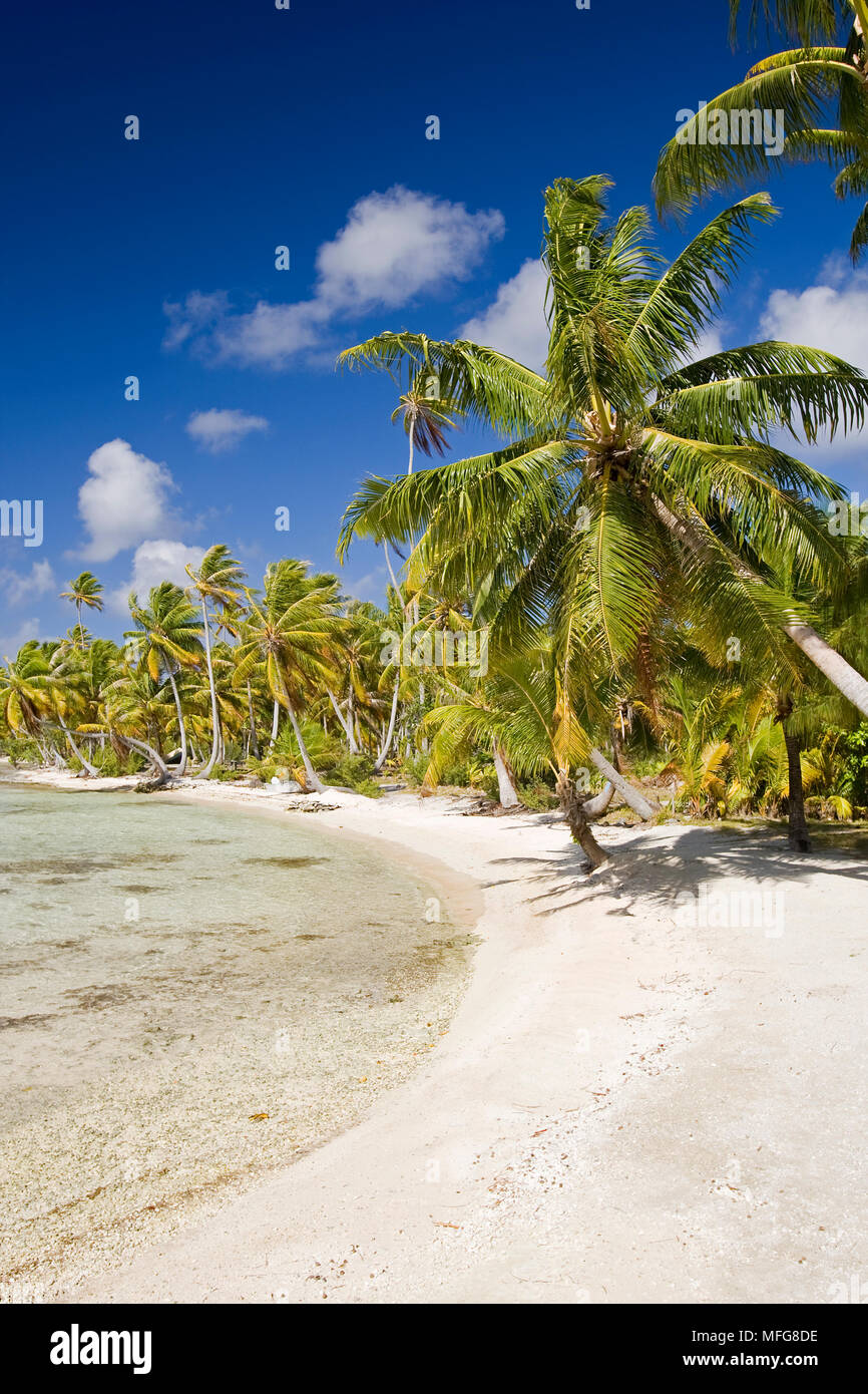 Lagoon & plage de Manihi Pearl Beach Resort, atoll de Manihi, archipel des Tuamotu, en Polynésie française, l'Océan Pacifique Banque D'Images