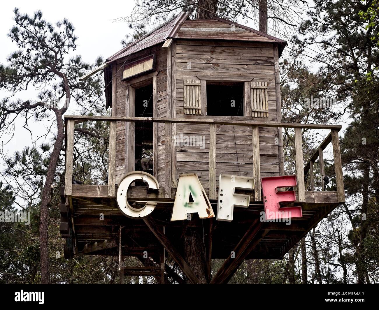 Cafe Sign sur un Treehouse le long d'un côté d'une Hi-way au Texas Banque D'Images