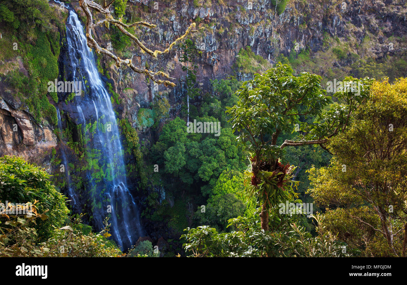 Morans Falls, Parc National de Lamington, Queensland, Australie Banque D'Images