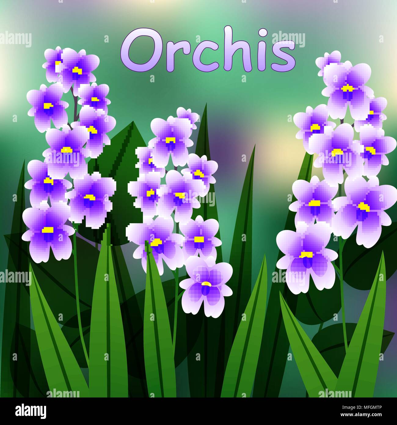 De fleurs en fleurs. Orchidée fleur pourpre militaire. Orchis militaris. Vector illustration Illustration de Vecteur