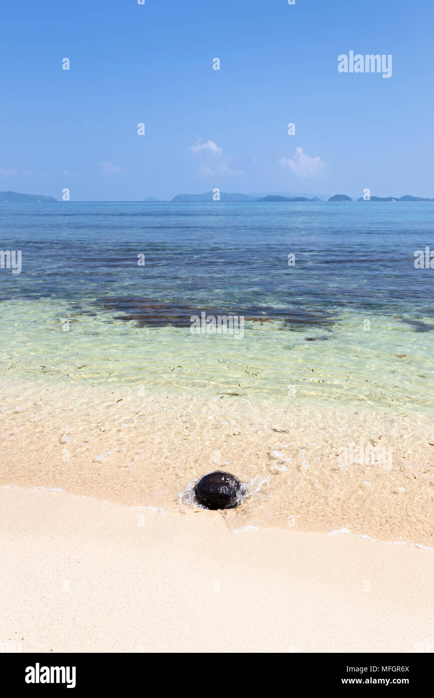 Une noix de coco sur le rivage d'une plage de sable blanc, tropical beach, près de Port Barton, l'île de Palawan, Philippines Banque D'Images
