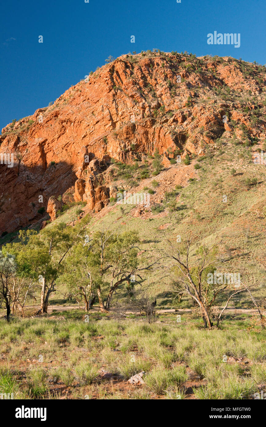 Simpsons Gap. Près d'Alice Springs, Territoire du Nord Banque D'Images
