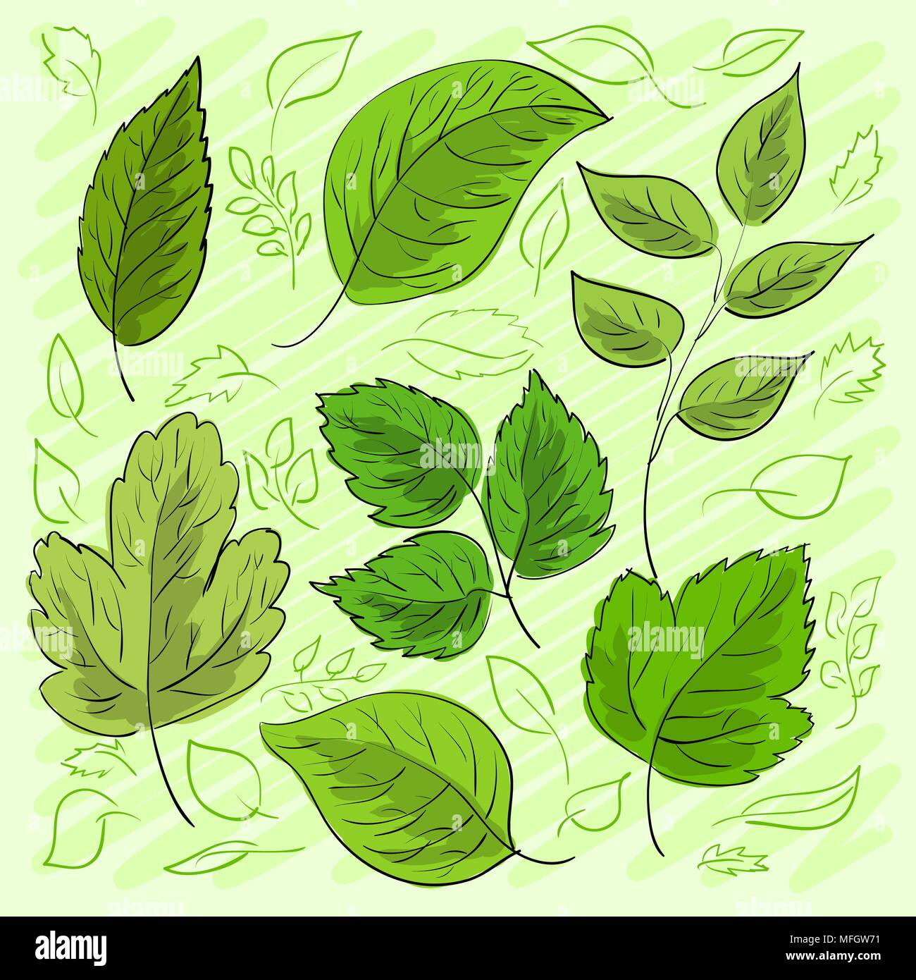 Ensemble de feuilles vertes à la main pour votre conception. Vector illustration Illustration de Vecteur