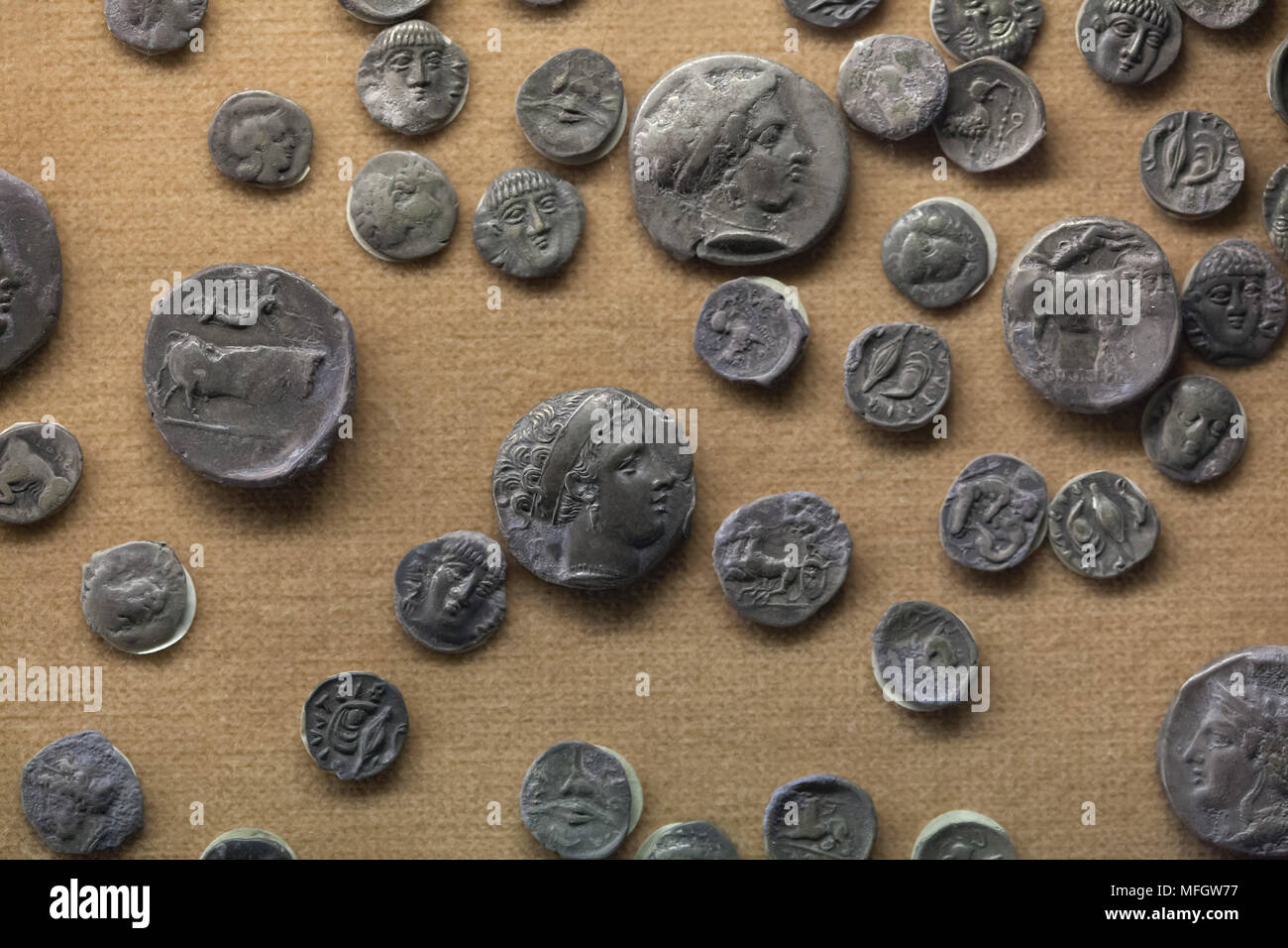 Pièces grecques antiques Banque de photographies et d’images à haute