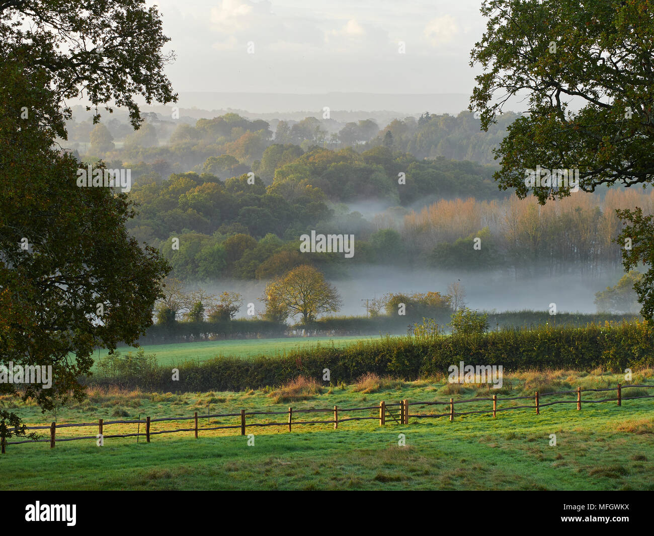 Holly Farm vue de South Downs à l'automne, Sussex, UK Banque D'Images