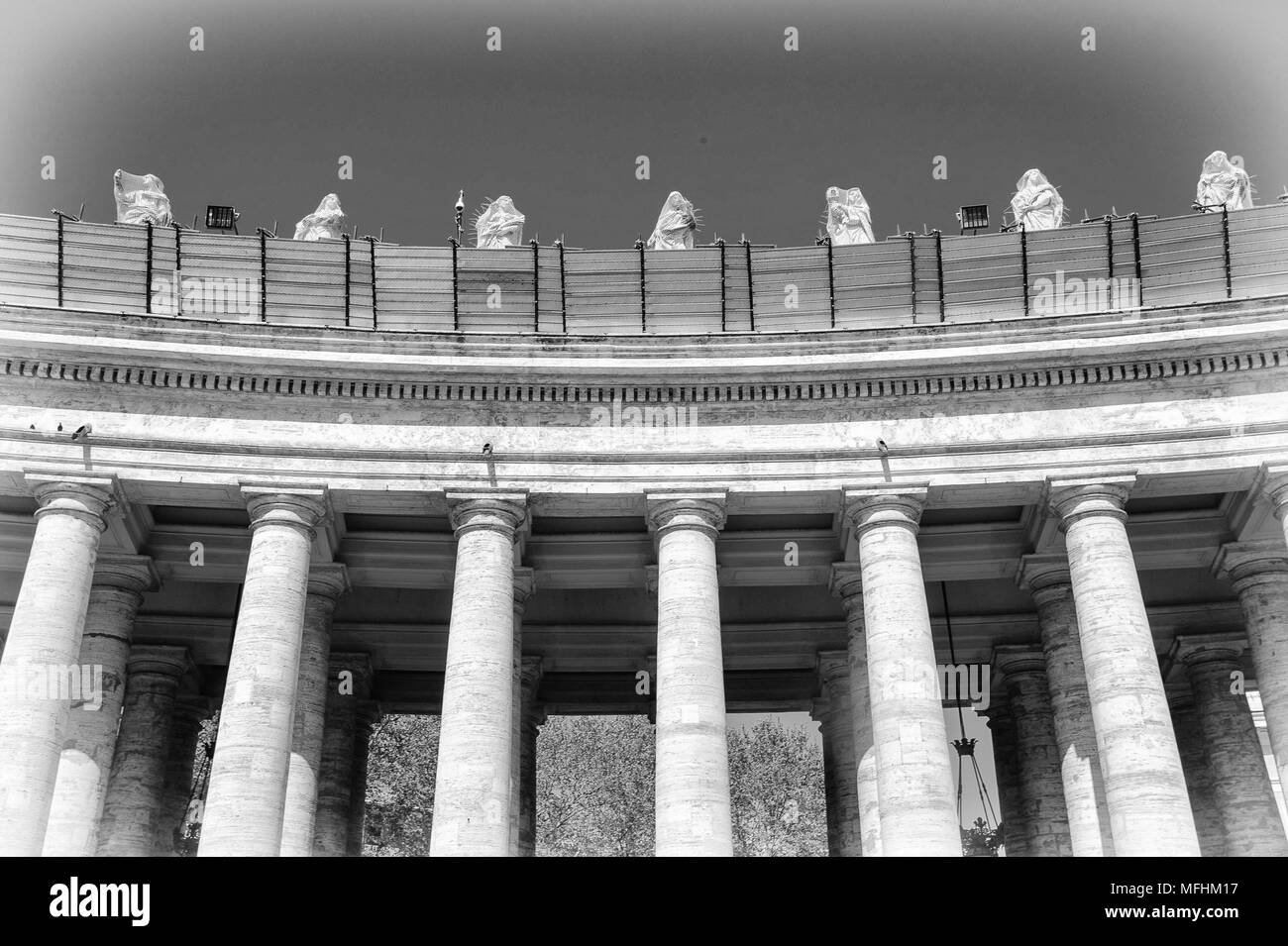 Compte tenu de la proximité des colonnes de la place Saint Pierre au Vatican en noir et blanc, Rome, Italie Banque D'Images