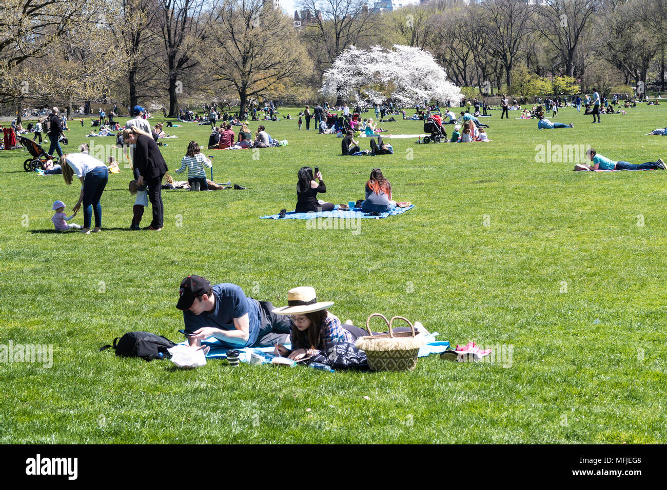 Des couples et des familles bénéficiant d'une paisible journée de printemps dans le pré des moutons, Central Park, NYC, USA Banque D'Images