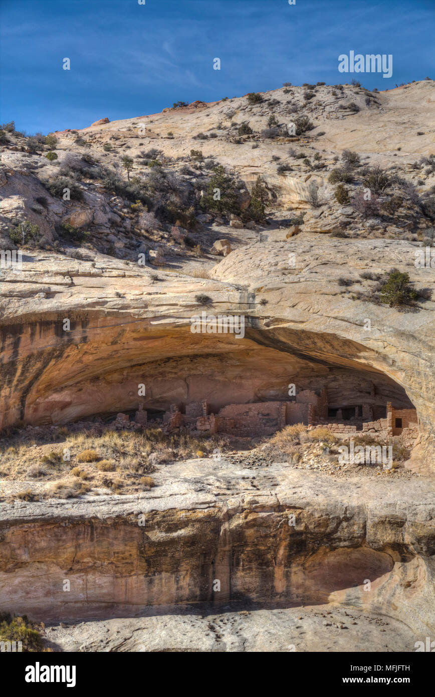 Butler Laver Achaeological, ruine Pueblo ancestrales, Butler se laver, Shash Jaa National Monument, Utah, États-Unis d'Amérique, Amérique du Nord Banque D'Images