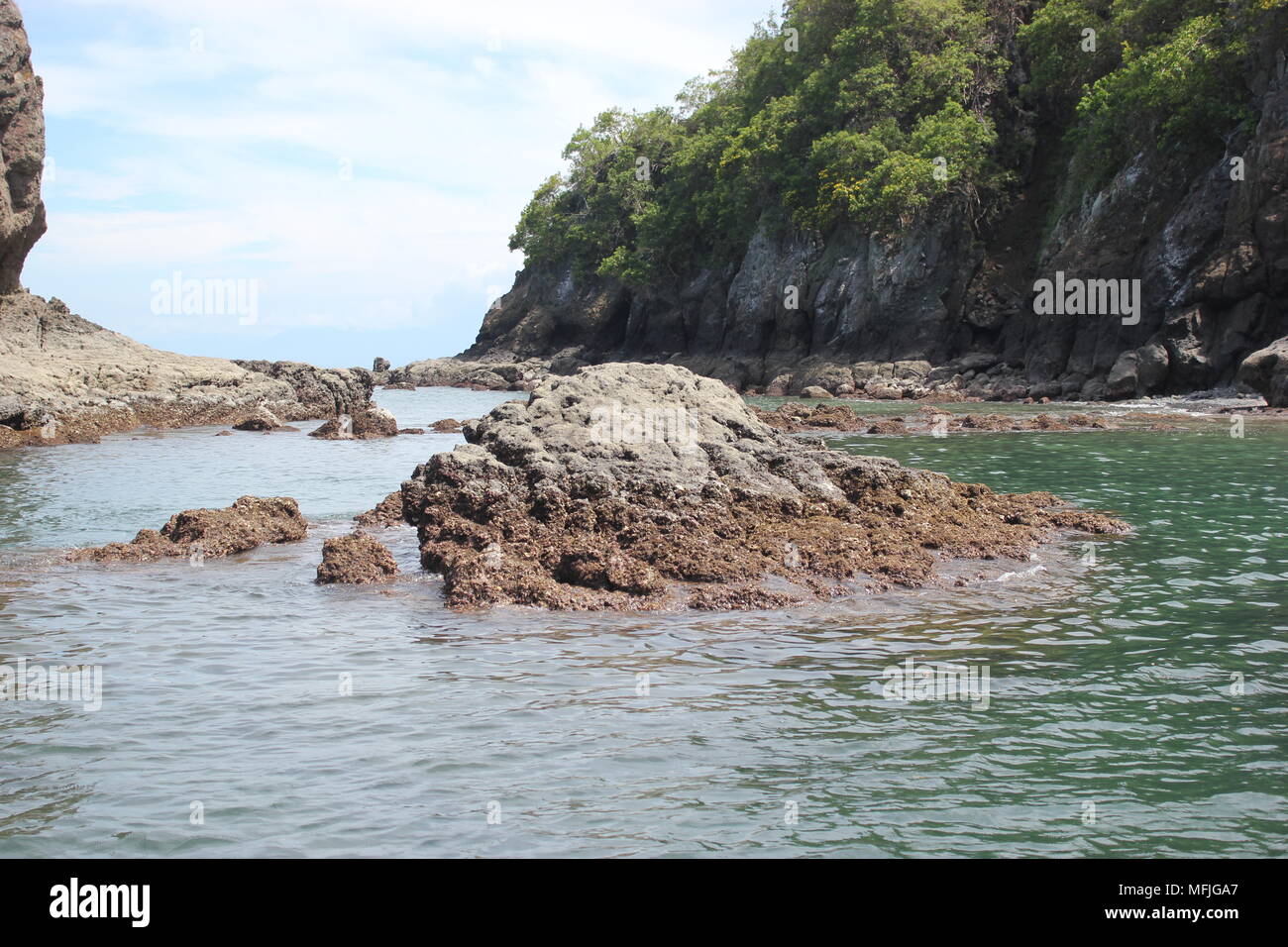 Tortuga, Montezuma, Costa Rica Banque D'Images