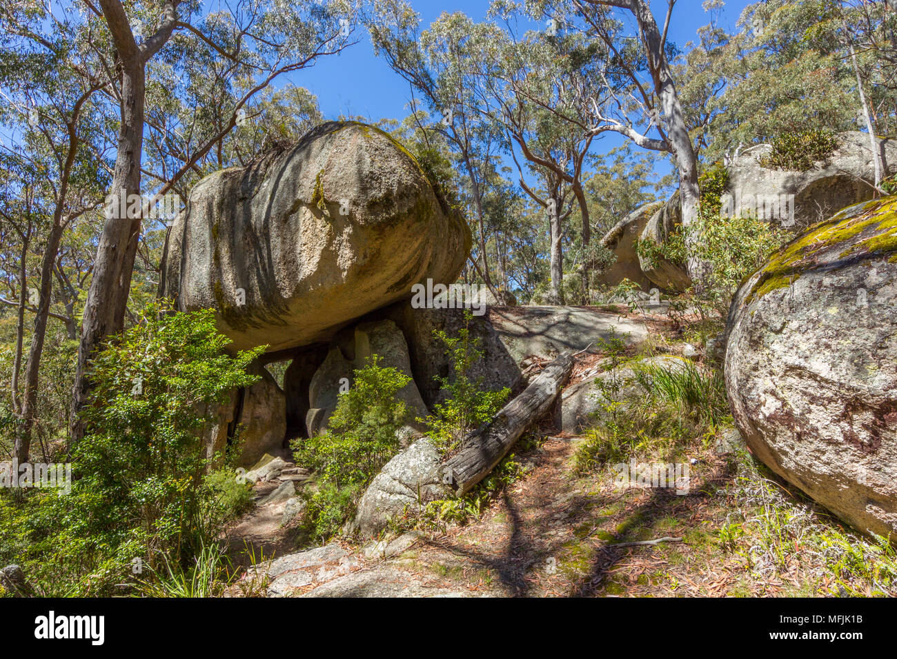 Bald Rock National Park est un parc national dans le nord de la Nouvelle-Galles du Sud, Australie, juste au nord de Tenterfield, sur la frontière du Queensland. La frontière pas Banque D'Images