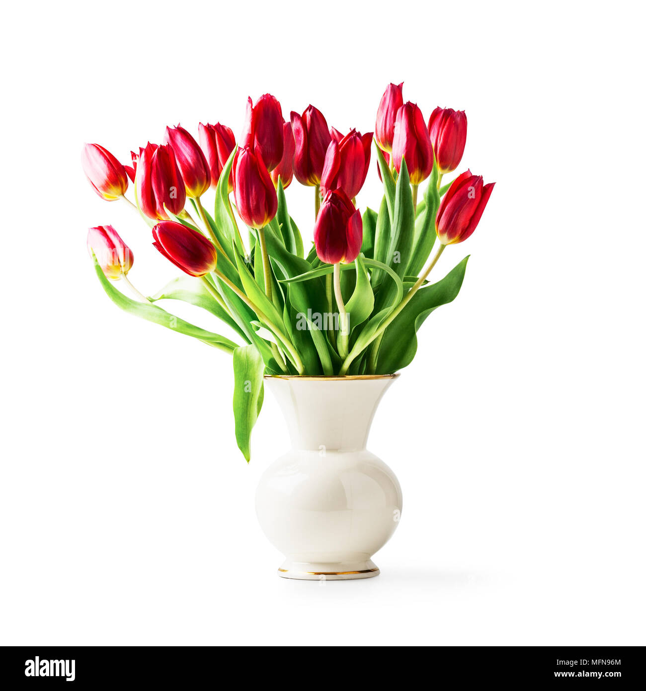 Tulipe rouge fleurs dans vase en porcelaine vintage. Seul objet isolé sur fond blanc chemin de détourage inclus. Fleur de jardin de printemps Banque D'Images