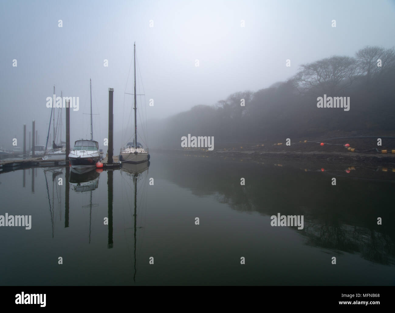 Réflexions parfait sur un matin brumeux à Marina de Neyland, Pembrokeshire Banque D'Images