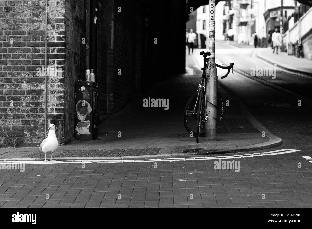 Mouette traversant la rue Banque D'Images