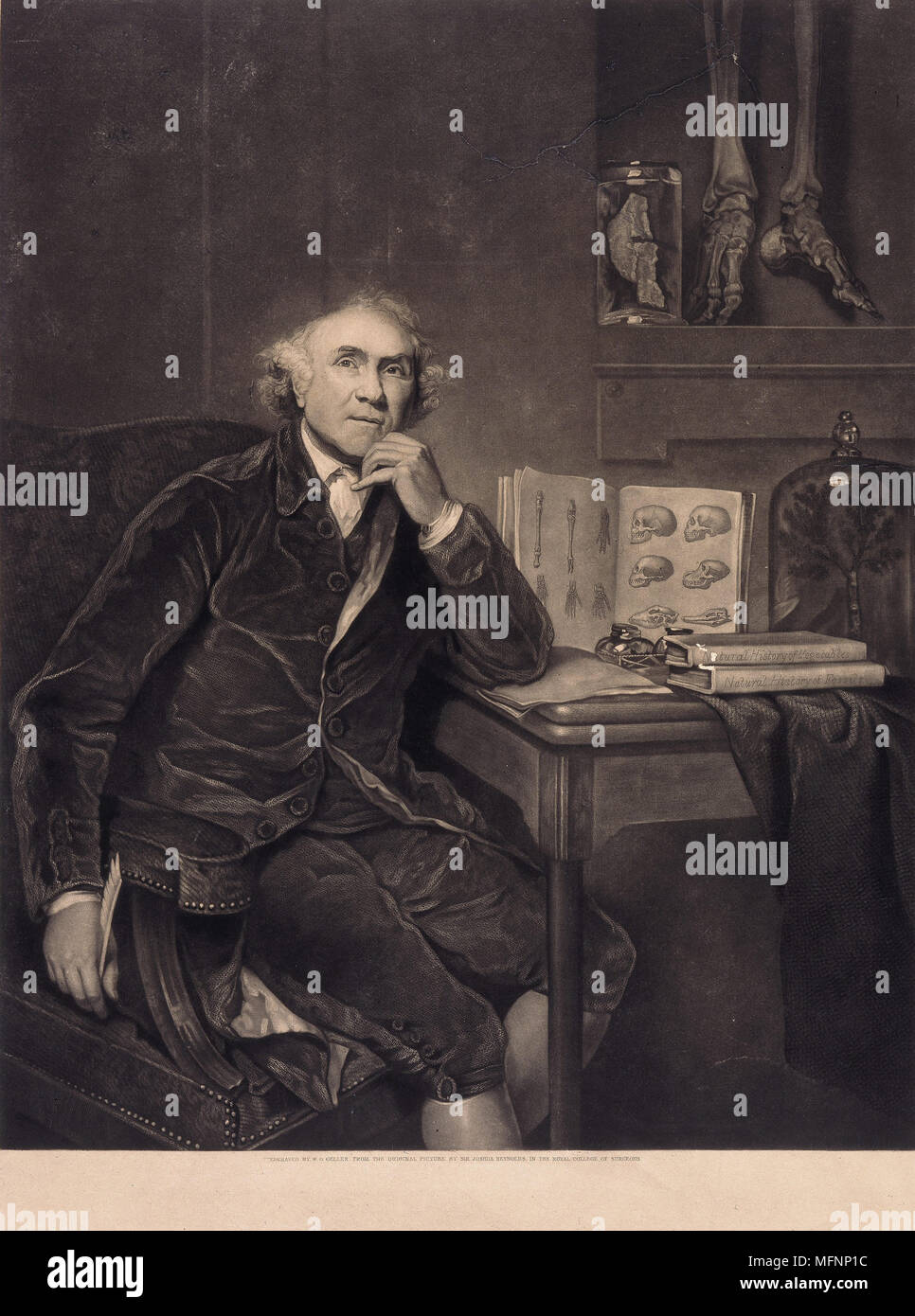 John Hunter (1728-1793), anatomiste et physiologiste écossais chirurgien qui applique la méthode scientifique à la médecine. Banque D'Images